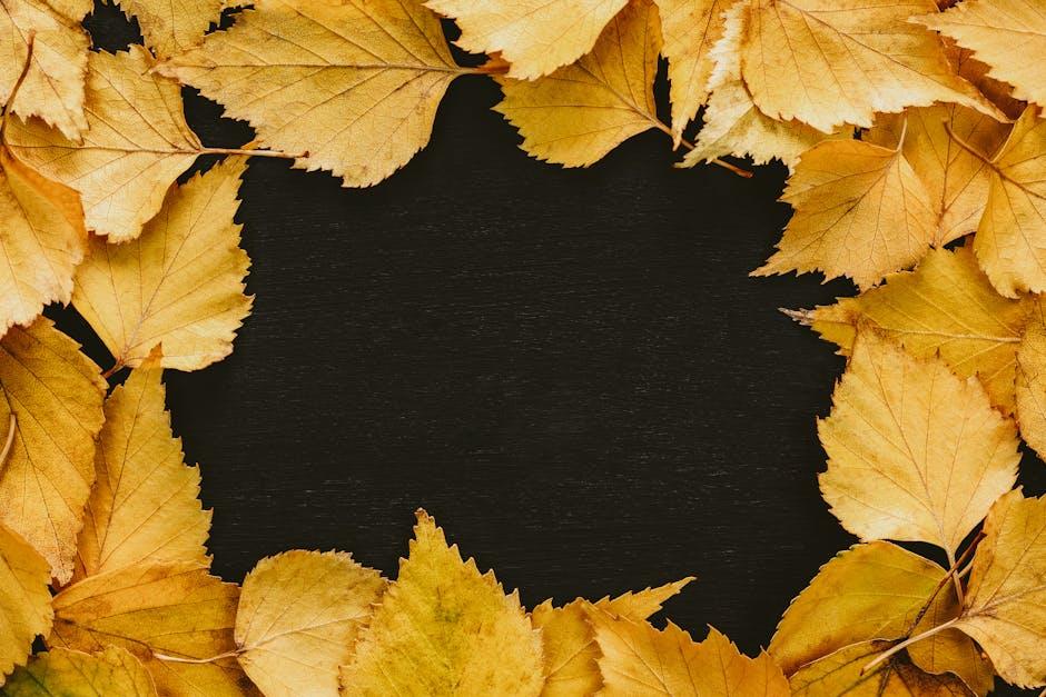 Why 1923 Season 2 Recast Teonna Rainwater’s Love Interest