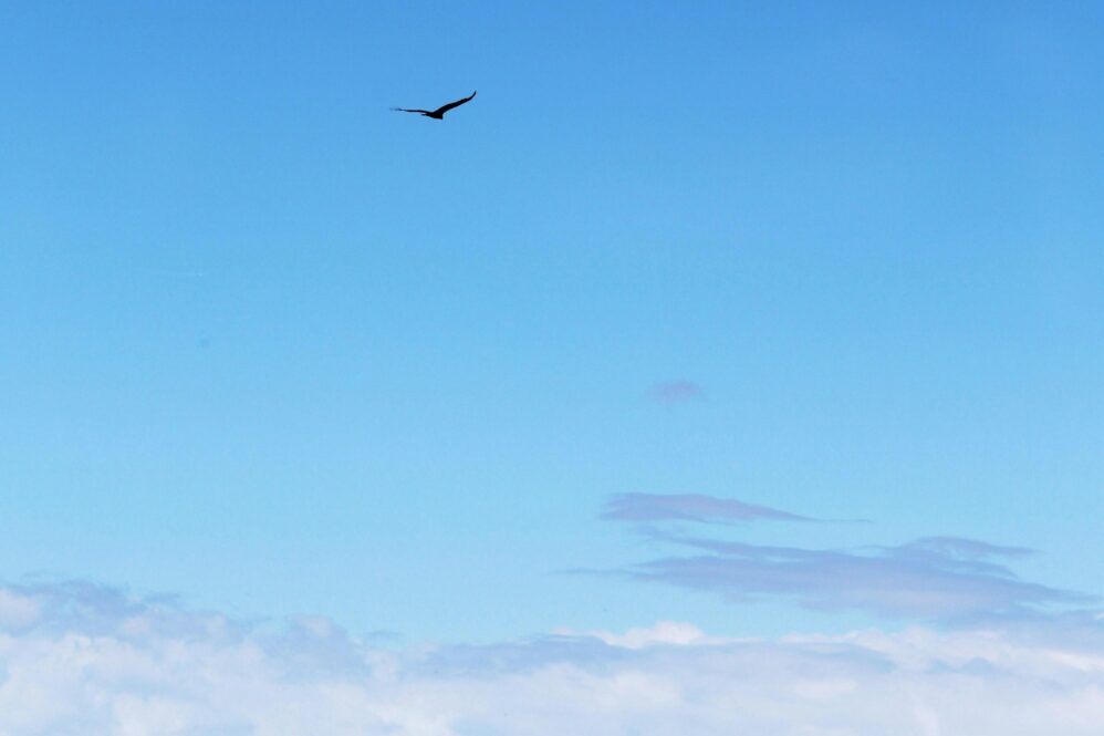 How Dennis Page Founded SLAM and Transformed Sports Media