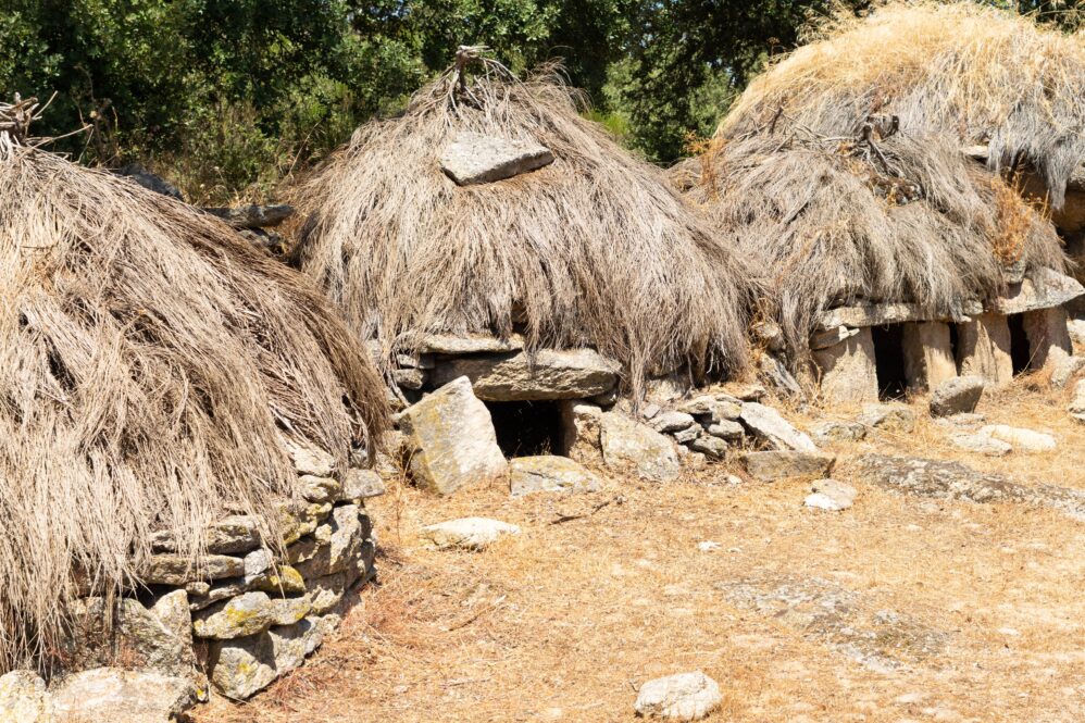 To Make A Change, Try Micro Habits