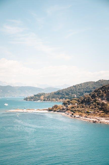 Catch the Hamptons Film News Letter