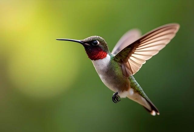 Can Fast Food Fit Into a Healthy Diet? Yes—Here’s How.