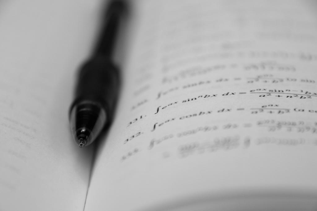 Navigating the Future of Mathematical Discovery and Research