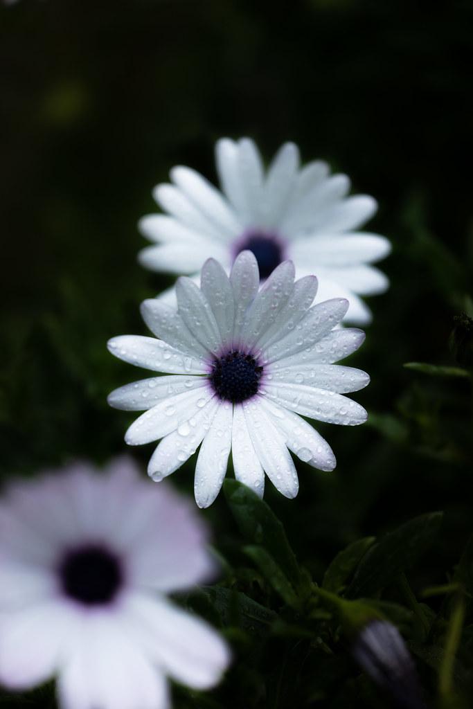 Curated Picks that Every Book Lover Should Explore Today