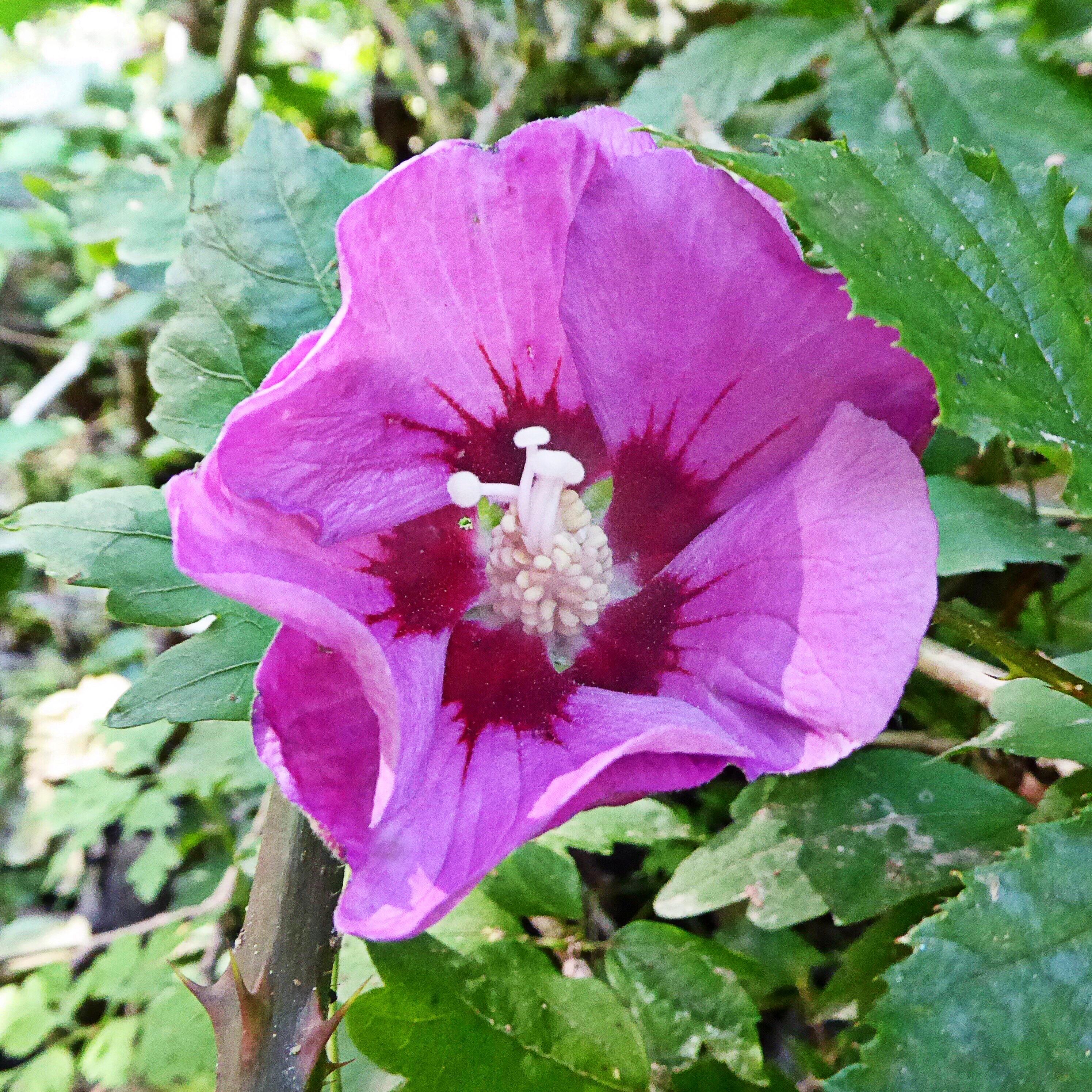 Trump announces he will release 80,000 JFK assassination files on Tuesday, going to be 'very interesting' - What to Expect: Key Insights and Revelations from the released Files