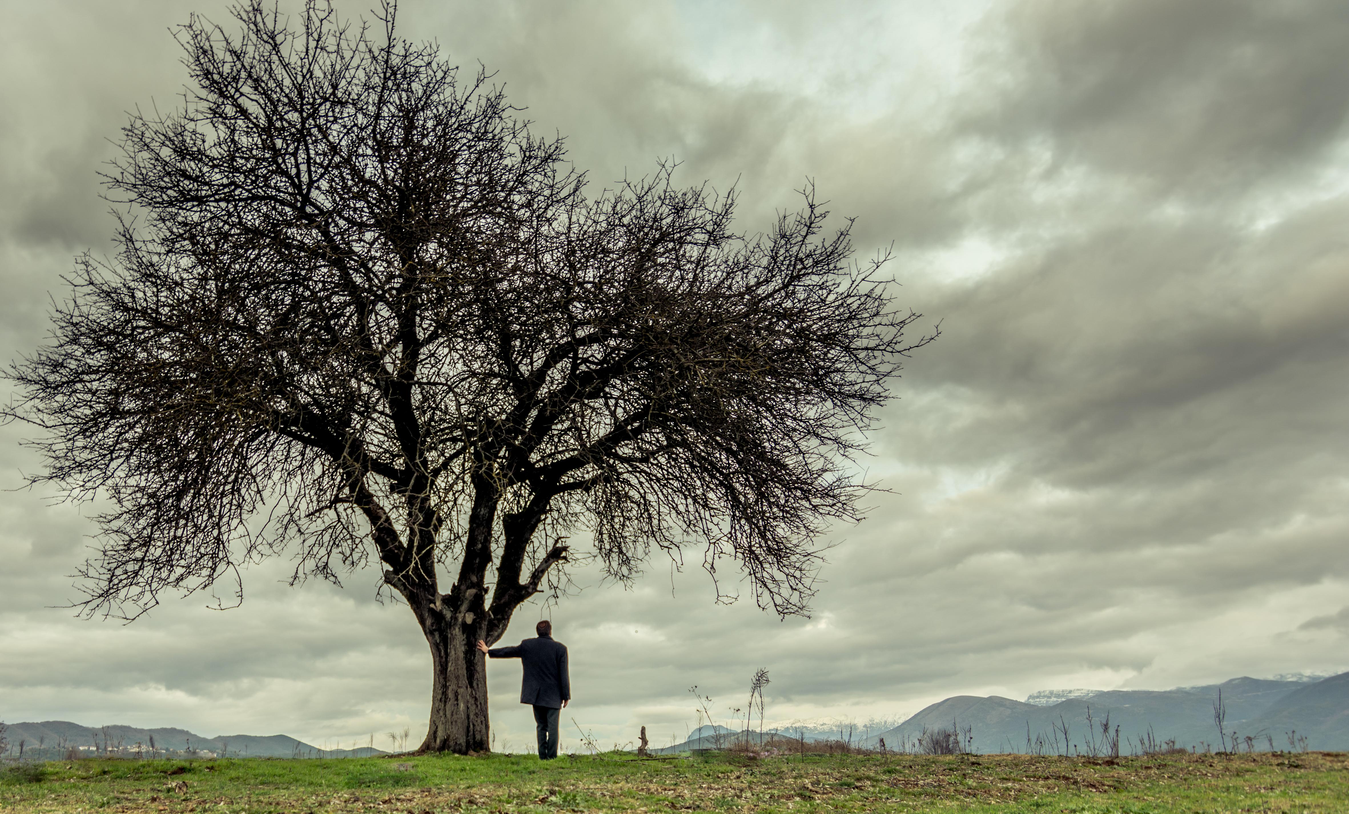 Expectations and Recommendations for A24's Latest Cinematic Venture