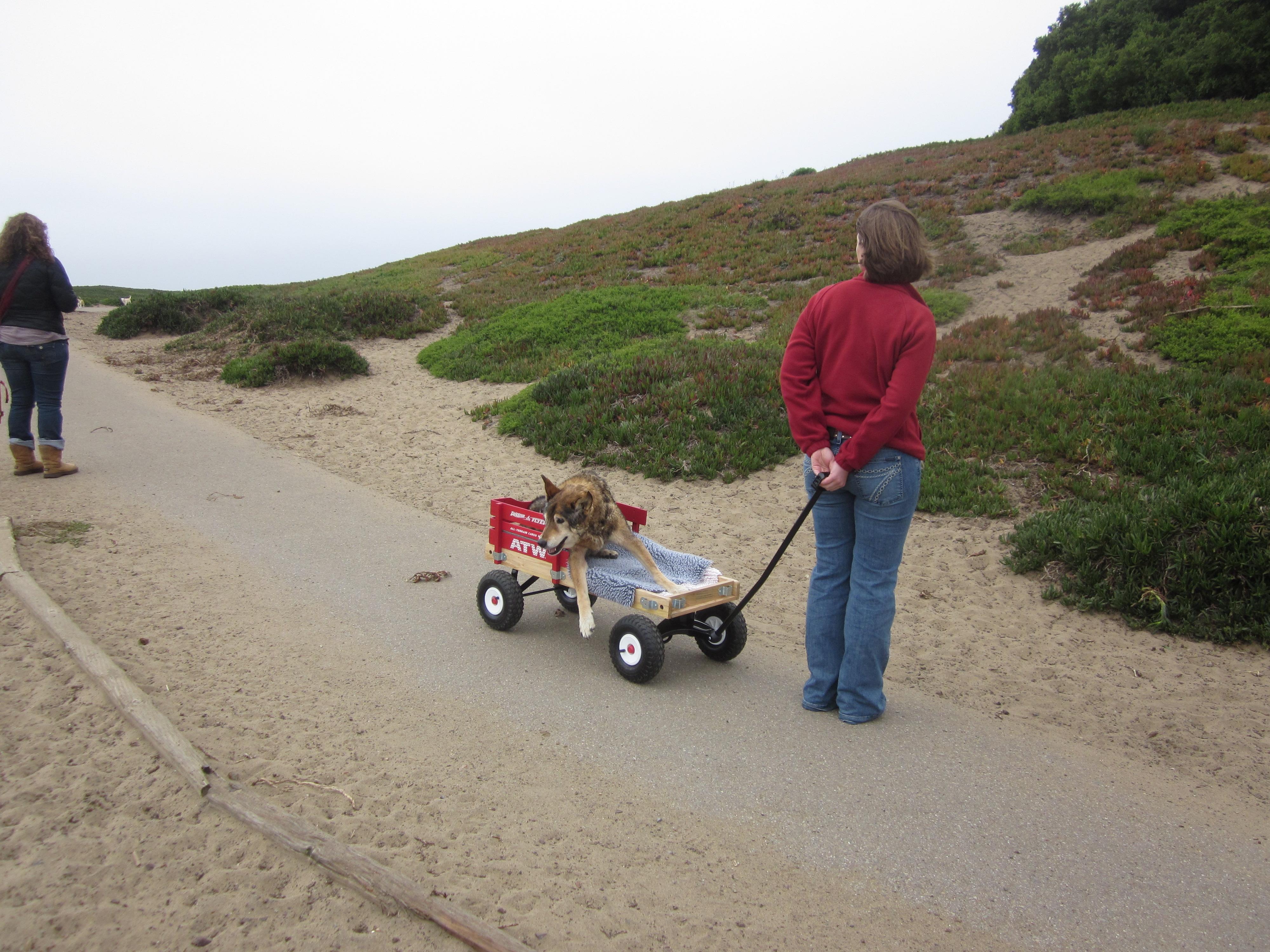 Impact of O'Donnell's Injury Update on Clare's Championship Prospects