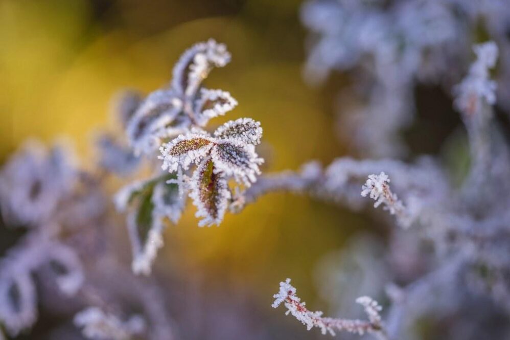 Essential Bitcoin Reads: Knowledge & Collectibles Uncovered