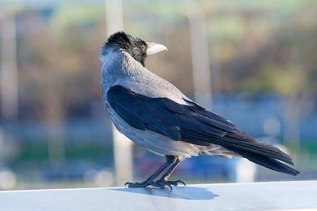 Jack Black Takes His ‘Hosting’ Duties Very, Very Seriously in New ‘SNL’ Promo