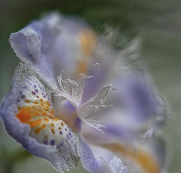 TJ Reid opens up on why he returned for a 19th season with Kilkenny