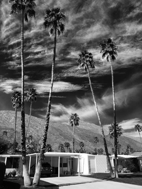 Coachella 2025 Expands ‘Soberchella’ With More Non-Alcoholic Options Than Ever