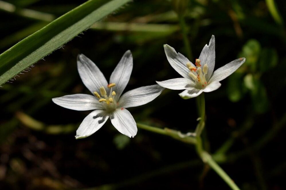 Two Major Inflation Markers Lower Than Expected