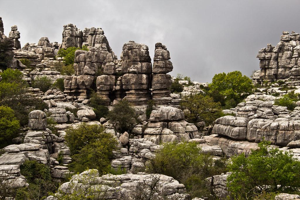 Erosion of Evidence: the Decline in Data-Driven Discourse in congressional Speeches