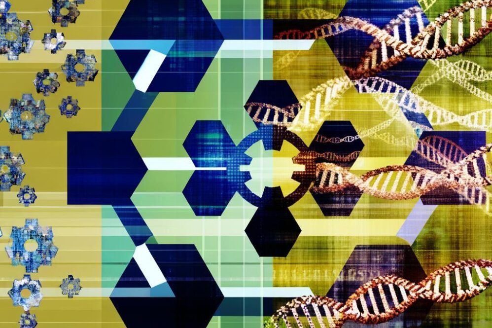 Chainlink Partners With SBI Group for Cross-Chain Tokenized RWAs