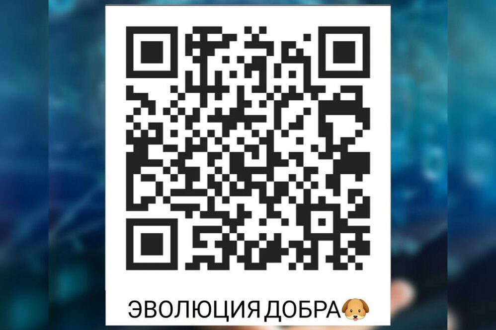 Essential Bitcoin Reads and Gadgets for Every Enthusiast