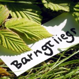 How Drivechain Works: Mechanics, Merged Mining, ‍and security Trade‑offs