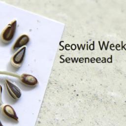 How Seed Phrases Work: From Mnemonic Words to Private Keys