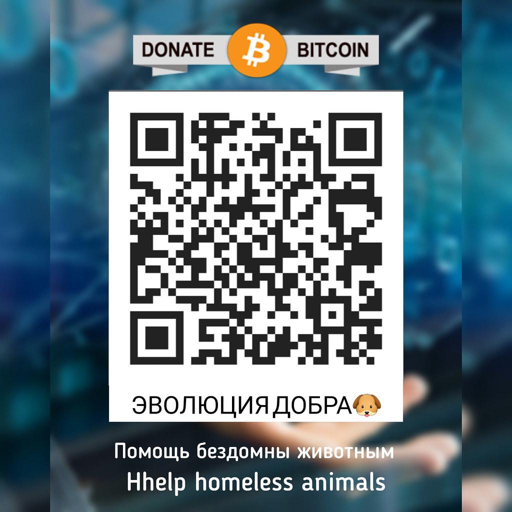 Analysis: Bitcoin's ‍challenge ‌to‍ centralized monetary systems and ‌what citizens⁢ should know