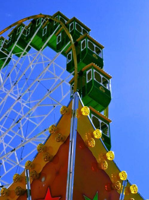 Simple Copy-Paste Mistake Cost a Trader $50M in USDT