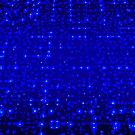 Market correction Sets Stage for Sustainable Rally: Analysts Outline Entry Points and Risk Controls